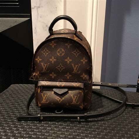 The Louis Vuitton Palm Springs Mini Backpack is the Bag of